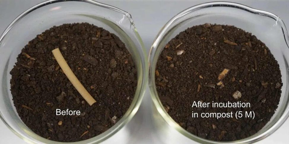 Новый вид пластика с содержанием бактерий 