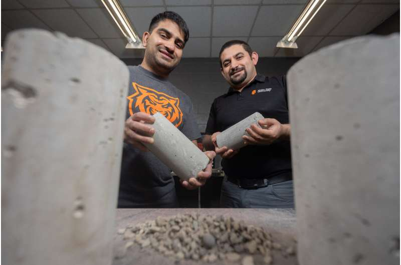 Экологизация бетона отходами сахарной свеклы