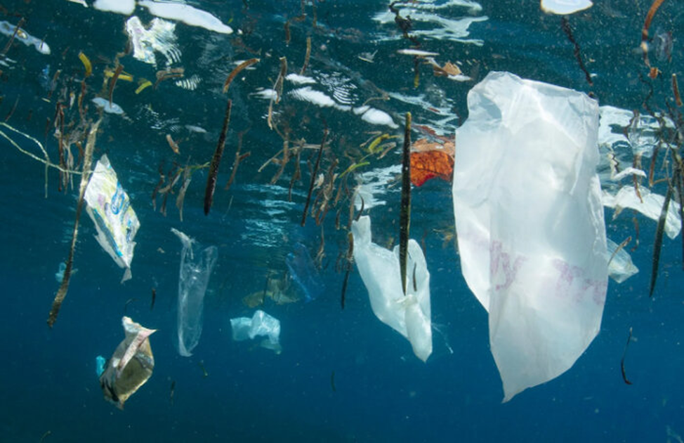 Мусорный континент: а стоит ли очищать океан от пластика? 