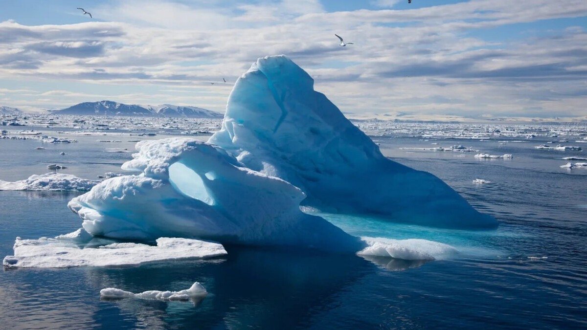 Арктический мусор: 7 тыс. тонн в год