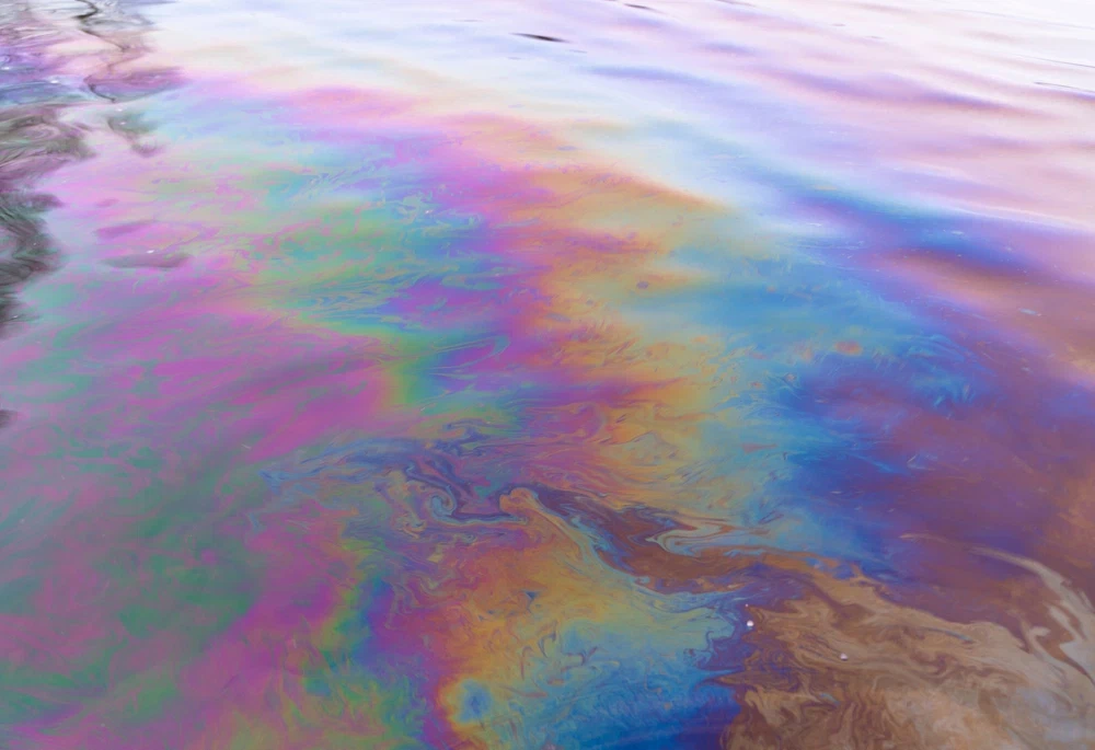 «Нефтееды» обнаружены в Японском море.