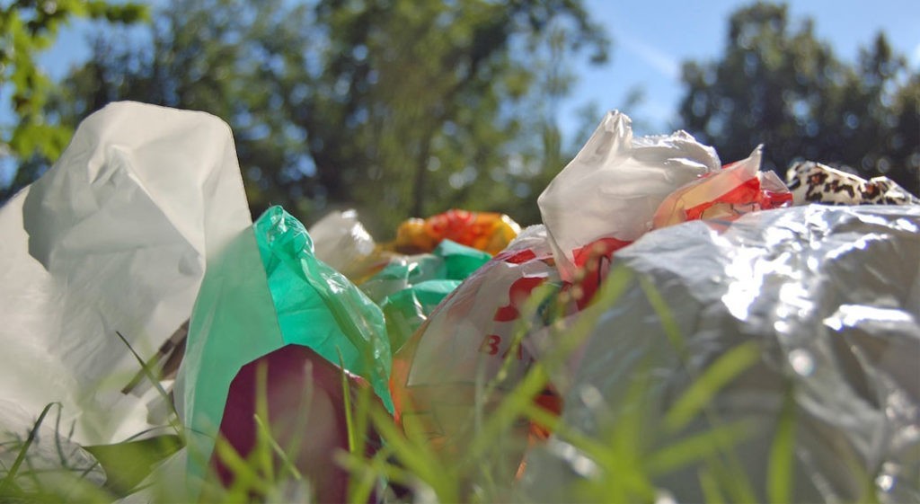 7 фактов о пластиковых пакетах, которые стоит знать