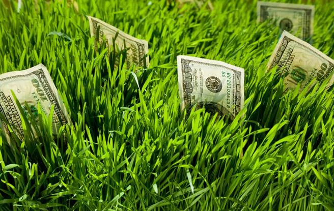 «Зеленый кредит» - это про экологию или про доллары?