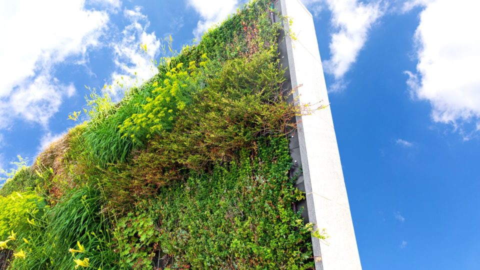 Вертикальные сады как естественный фильтр для воздуха автомагистралей. 