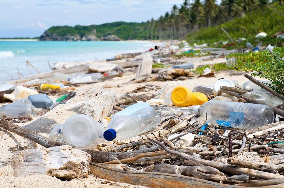 Загрязнительное – рядом. Сколько пластика вливается в Белое море. 